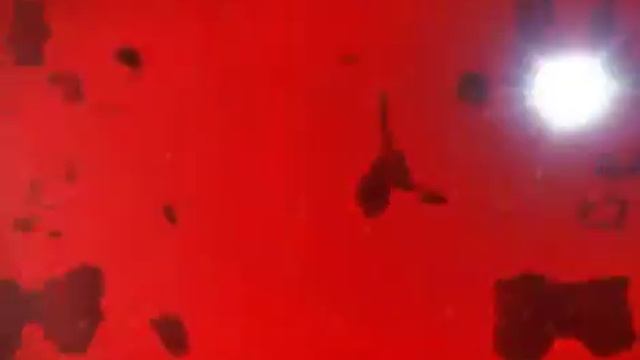 Dans танцы танцуют пляски народные танец смотреть онлайн