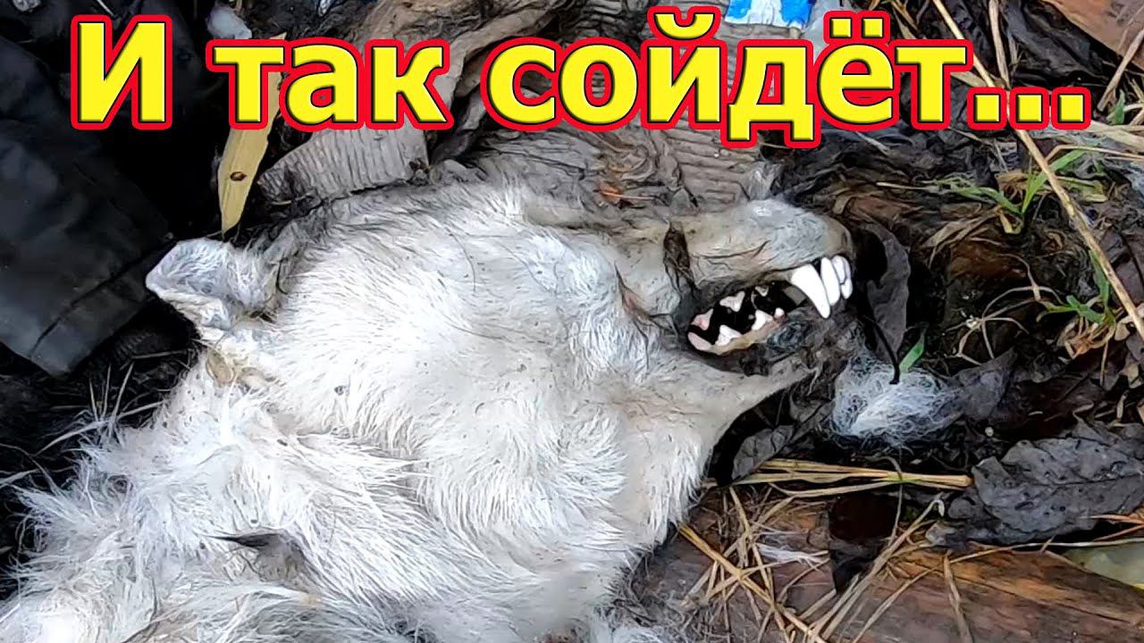 Учитесь, американцы, как надо утилизировать мусор смотреть онлайн