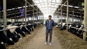 ОАО Чурачикское / Диалог трейд / Digi Farm
