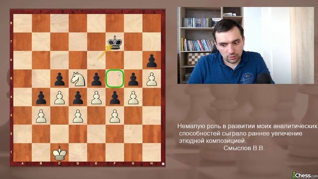 Шахматный этюд. Конь в лабиринте.