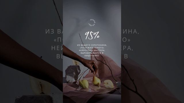 Знали ли вы?