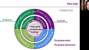 Как внедрить модель бизнеса PRO-AGE. Школа PRO-AGE по управлению биологическим возрастом