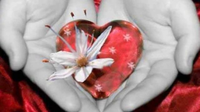 160. Солнышко в ладошке... Стихи Светланы Богдан. Читает Галина Харькова