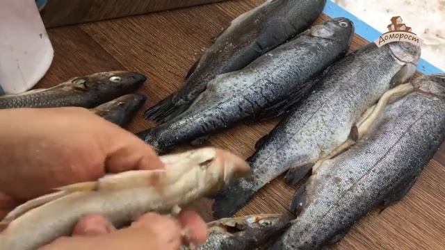 Как приготовить рыбу на дыму. Коптильня в действии. смотреть онлайн