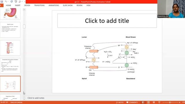FUNCTIONS OF GIT /REESHMA//DEPT.OF PHYSIOLOGY ROYAL DENTAL COLLEGE смотреть онлайн
