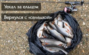 Мормышинг. Уехал за ельцом, вернулся с пакетом «селедки»