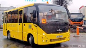 Автобусы "Маз-241" и "маз-203".