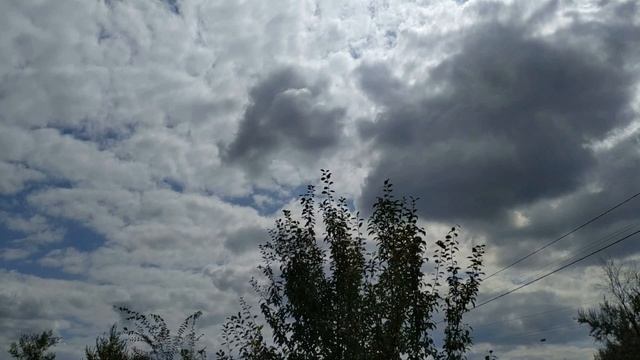 Что нельзя держать в кошельке ? Народные приметы и поверья смотреть онлайн