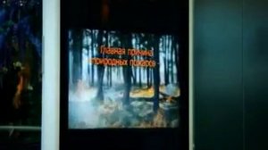 Организация и ведение гражданской обороны в современных условиях