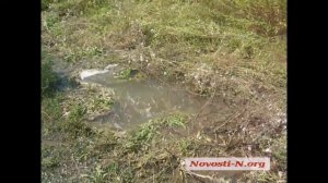 Видео Новости-N: В Первомайске появилась рукотворная река