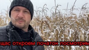 АГРО1ГА КУКУРУЗА НА ГРАНУЛИРОВАННОМ ПОМЕТЕ В ВОРОНЕЖСКОЙ ОБЛАСТИ И ОРГАНИЧЕСКИЕ СТИМУЛЯТОРЫ РОСТА