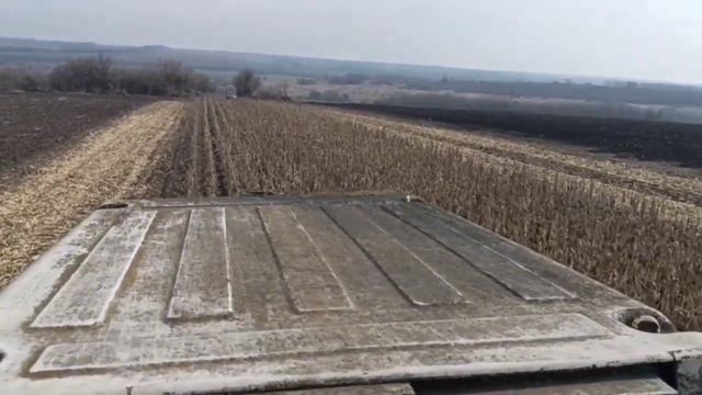 1,03,2024,Прям як осінню,то семочку то Кукурузу,косимо ДОН-1500 жатка КМС -8 смотреть онлайн