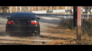 Канги Собака