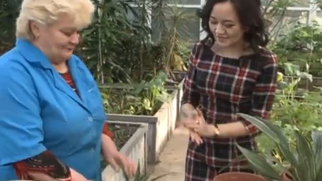 2015 Казакстан Петропавл TV ЖУРНАЛИСТ МЕНЯЕТ ПРОФЕССИЮ смотреть онлайн