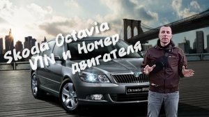 Skoda Octavia VIN и Номер двигателя.