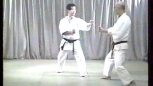 Суть Вадо рю Каратэ Ч.4