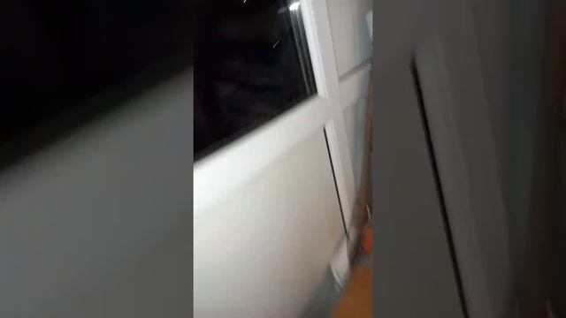 Это мох из леса который растёт на балконе смотреть онлайн