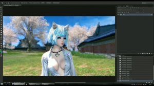 EDITING SCREENSHOT Blade and Soul\\ Обработка скриншота BNS