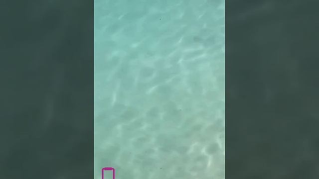 посмотрите до конца)