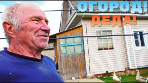 ДЕД САМ НЕ ОЖИДАЛ!