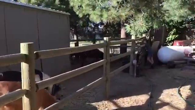 Американское ранчо. смотреть онлайн