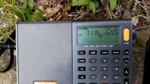 Degen DE1103 DSP , XHDATA D-808 6