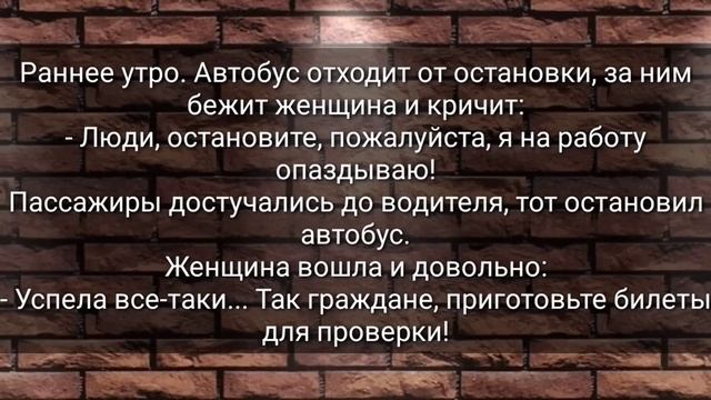 Соблазнительный Выбор и Стертый Чл@н!!! Смешная Подборка Анекдотов!!! смотреть онлайн