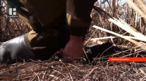Вдоль реки Большая Липовица под Тамбовом волонтеры высадили несколько тысяч саженцев ивы