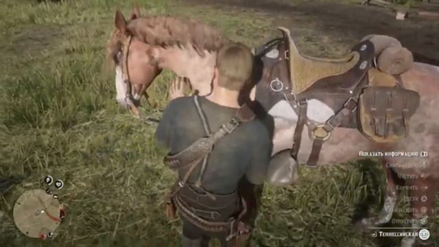 Red dead Redemption 2 / конюшни - лошади / всё об этом RDR2