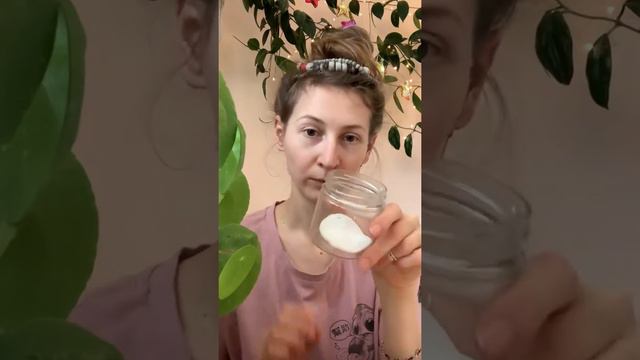 Как прорастить семена растений