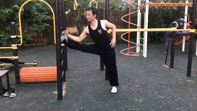 Разминка, растяжка, техника (2). #ушу #мэйхуа #ян_цзы смотреть онлайн