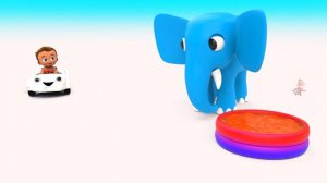 Orbit Roll Tower Color Balls Slider Toy Set 3D - Little Baby Play Learning Colors for Children Kids