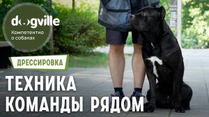 Команда «Рядом» — Техника выполнения