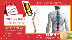 НАША СРЕДА (2) УПРАЖНЕНИЯ ДЛЯ СПИНЫ