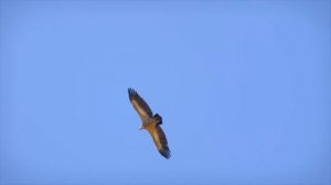 М.Таривердиев - Утро в горах