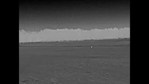 Тепловизор iRay xEye E3W -- ОТ МЫШКИ ДО САМОЛЁТА --видео №4 ЗАЙЦЫ В ПОЛЕ.