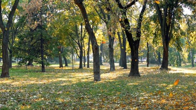 Пошаговая  формула визуализации  денег