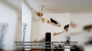 Домик или лежанка для кошки своими руками (55 фото): простые идеи