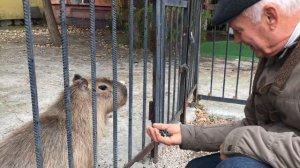 В гостях у Капитошки