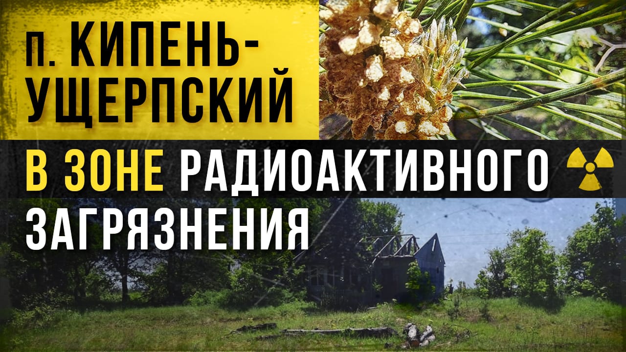 Кипень Ущерпский в зоне радиоактивного загрязнения. смотреть онлайн