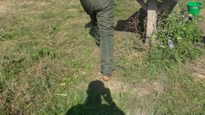 Трофейный карп.  Рыбалка на р. Ч. Ташлык, Кировоградская обл.