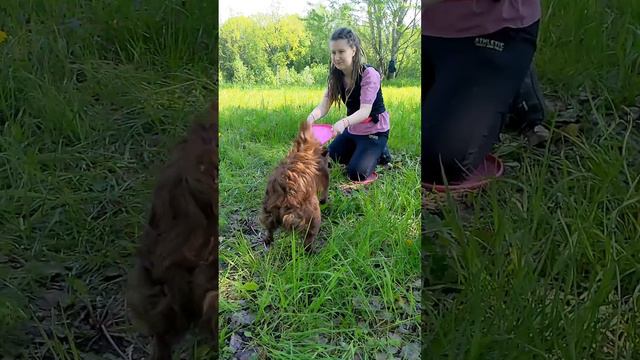 Муди Одиссея - учится ловить бабочку