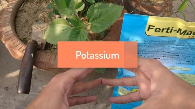 How to Apply NPK Fertilizer to Plants? | N.P.K Fertilizer | 2018 (Urdu / Hindi) смотреть онлайн