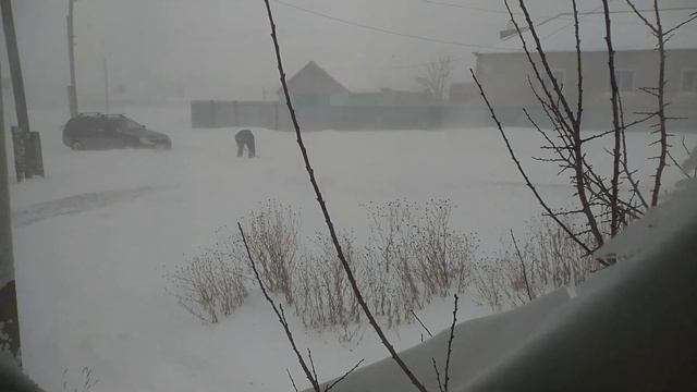 Уух, метёт! Февраль забуранил.Все буксуют и копают. 18.2.21. Адамовка. смотреть онлайн