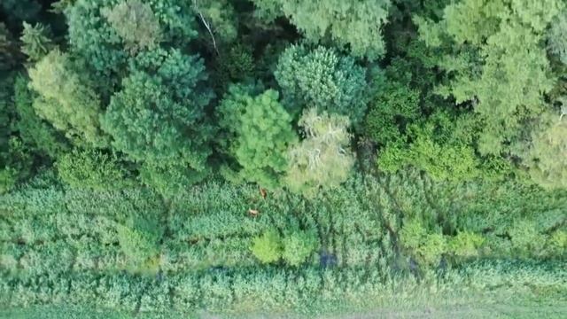 "Символ Истории" Видеовикторина о Республике Беларусь. смотреть онлайн