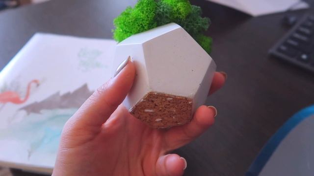 Подготовка к отпуску! Готовим вкусные баклажаны смотреть онлайн