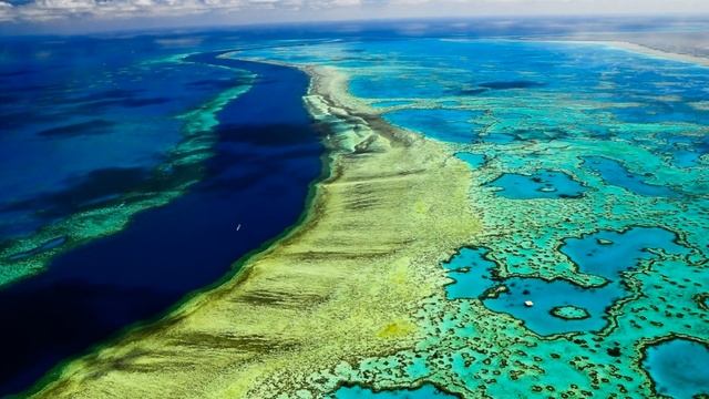 Крупнейший в мире коралловый риф смотреть онлайн