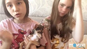 Мне купили собаку!!!