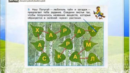 видео уроки окружающий мир 3 класс плешаков. тетрадь окружающий мир 3 класс школа россии. задания по окружающему миру растения. обложка учебника окружающий мир 2 класс 1 часть плешаков. учебник окружающий мир 3 класс плешаков цепь питания.