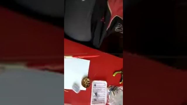 Оборудования поплавочной удочки скользящий поплавком из гусиного пера
